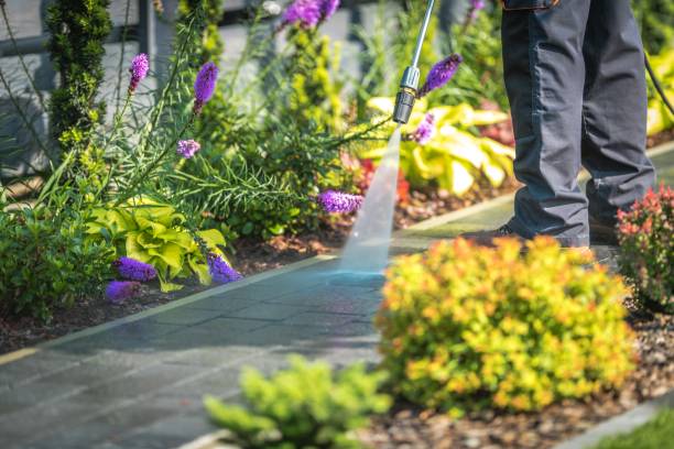 Best Animal Enclosure Cleaning  in Rossville, IN