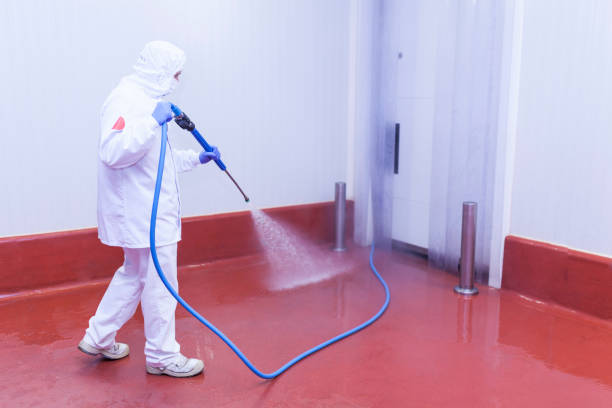 Best Dumpster Area Cleaning  in Rossville, IN